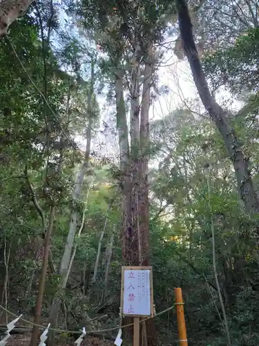 星田妙見宮(大阪府)