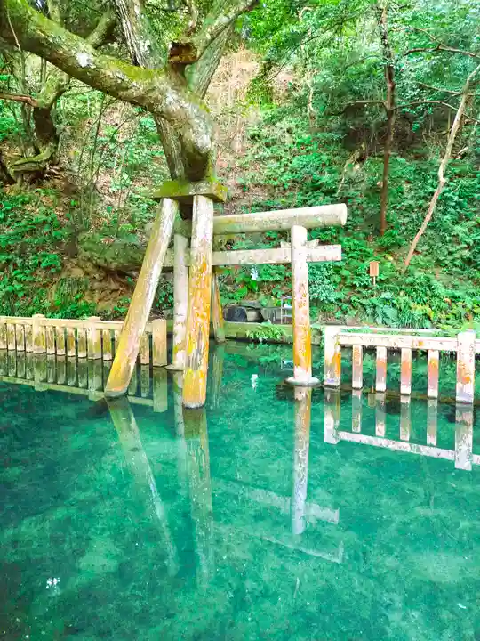 鹿島神宮(茨城県)