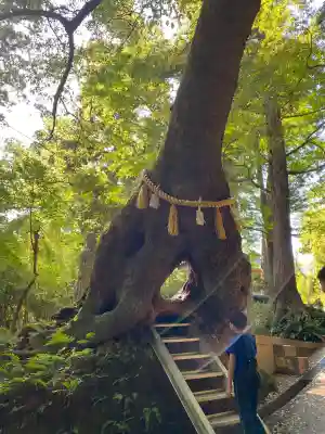 笠森寺(千葉県)