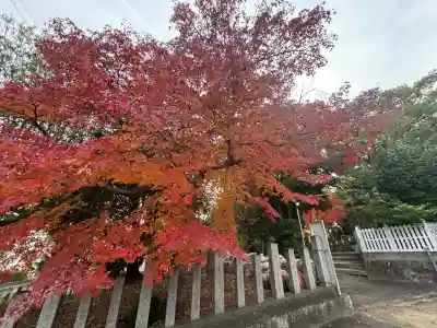 七所神社(愛知県)