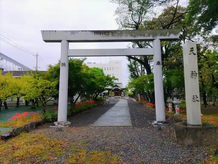 天神社(勝川町)の鳥居
