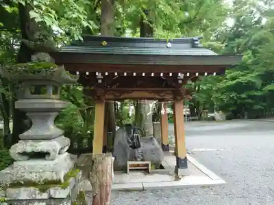 山中諏訪神社の手水舎
