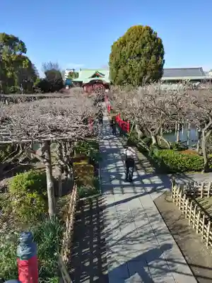 亀戸天神社(東京都)