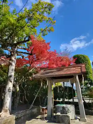 熊本大神宮(熊本県)