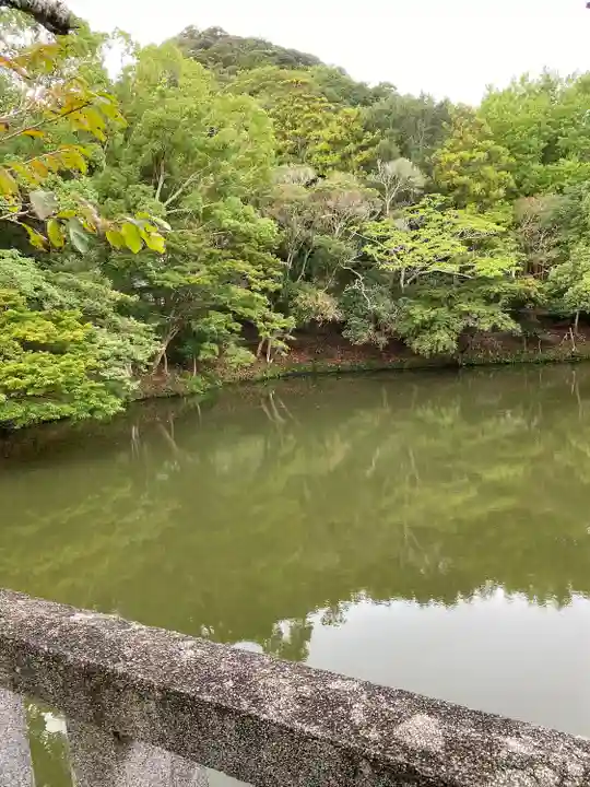 安房神社(千葉県)