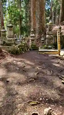 高野山金剛峯寺奥の院(和歌山県)