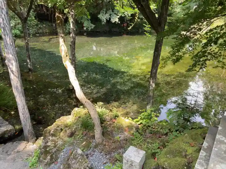 富士山本宮浅間大社の周辺