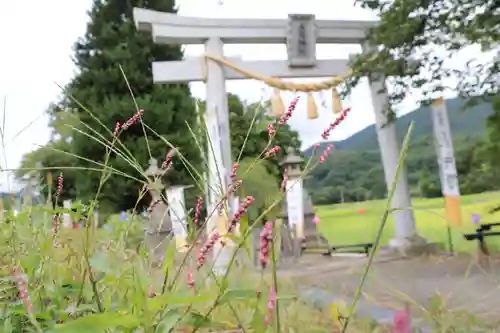 高司神社〜むすびの神の鎮まる社〜の鳥居