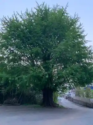 本照寺(千葉県)