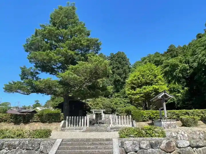 崇峻天皇陵(倉梯岡上陵)(奈良県)