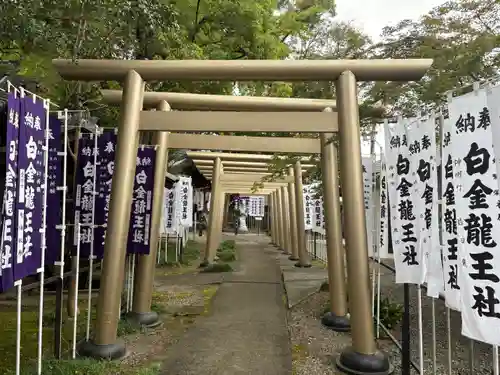 白金龍王社(愛知県)