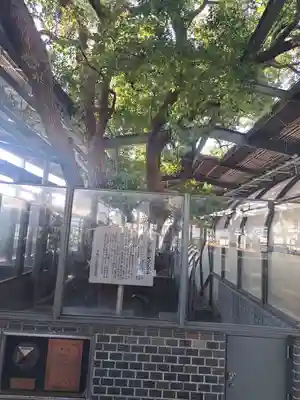 萱島神社(大阪府)