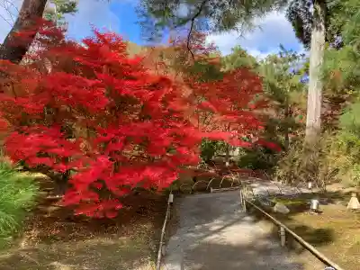 宝厳院(京都府)
