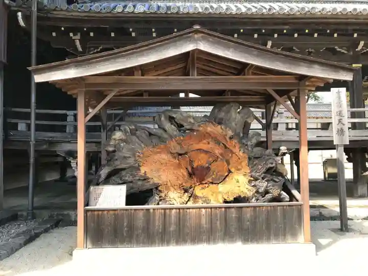本山専修寺(三重県)