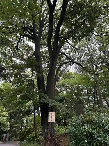 柴崎神社(千葉県)