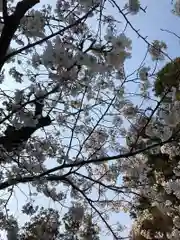 東慶寺の自然
