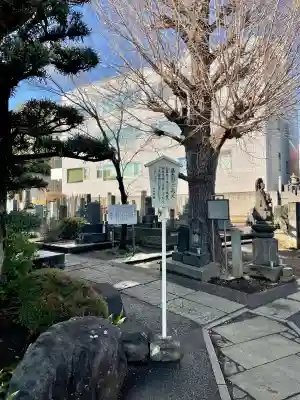 瑞円寺の{uncategorized: "未分類", other: "その他", undefined: "問題あり", building: "その他建物", grave: "お墓", sacred_gate: "鳥居", guardian: "狛犬", statue: "像", buddha: "仏像", history: "歴史", nature: "自然", garden: "庭園", animal: "動物", pagoda: "塔", temizu: "手水舎", mountain_gate: "山門・神門", sanctuary: "本殿・本堂", subordinate: "末社・摂社", art: "芸術", scenery: "景色", jizo: "地蔵", ema: "絵馬", goshuin: "御朱印", omikuji: "おみくじ", items: "授与品その他", amulet: "お守り", goshuincho: "御朱印帳", eats: "食事", festival: "お祭り", votive_dance: "神楽", shichigosan: "七五三参", wedding: "結婚式", experience: "体験その他", initially: "初詣", around: "周辺", anti_infection: "感染症対策"}