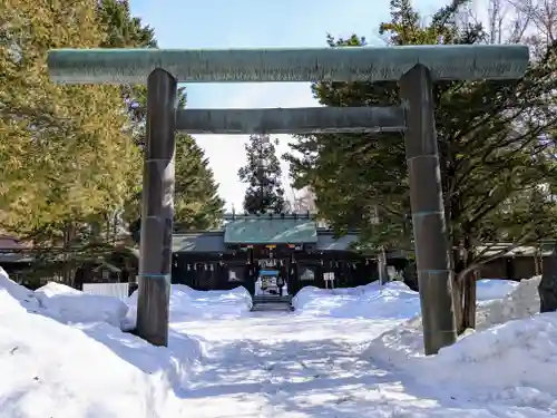 琴似神社(北海道)