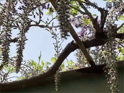 国宝 大法寺(長野県)