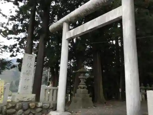 阿伎留神社の鳥居