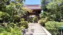 高幡不動尊　金剛寺の山門