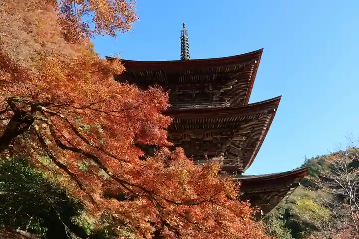 金剛院(京都府)