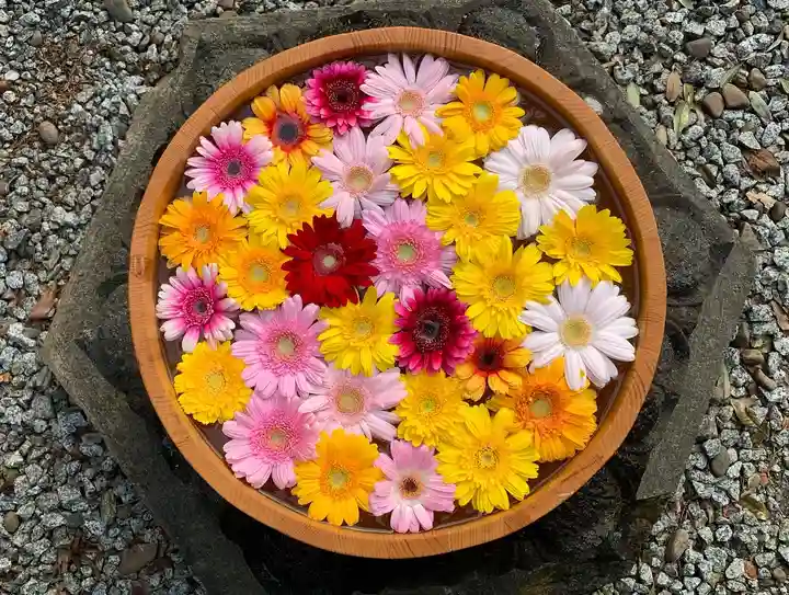 滑川神社 - 仕事と子どもの守り神の手水舎