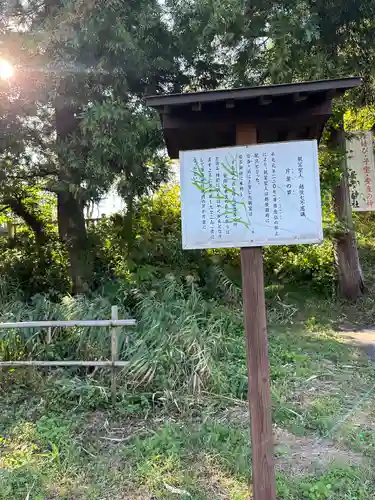 居多神社(新潟県)