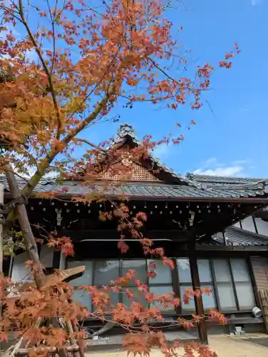 報恩寺(京都府)