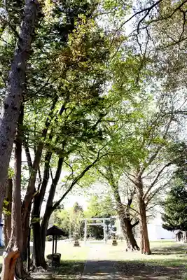 上美唄神社(北海道)