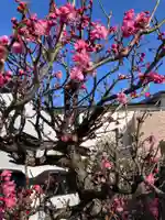 奥州阿古菜志地蔵の自然