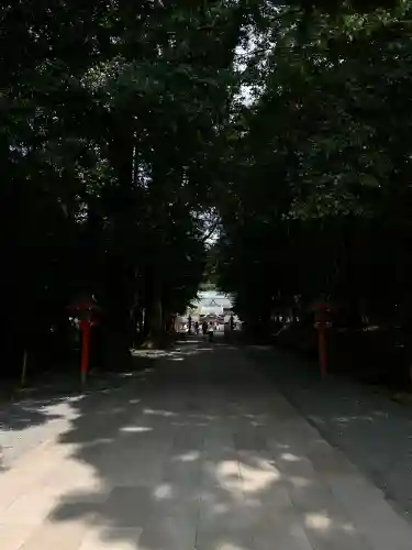 霧島神宮(鹿児島県)