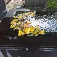 前玉神社の手水舎