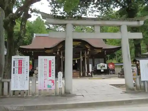 武田神社の鳥居