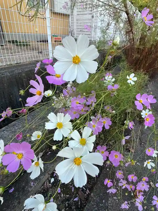 天満神社の自然