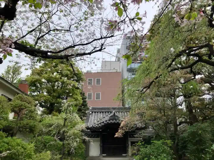 金藏院の{uncategorized: "未分類", other: "その他", undefined: "問題あり", building: "その他建物", grave: "お墓", sacred_gate: "鳥居", guardian: "狛犬", statue: "像", buddha: "仏像", history: "歴史", nature: "自然", garden: "庭園", animal: "動物", pagoda: "塔", temizu: "手水舎", mountain_gate: "山門・神門", sanctuary: "本殿・本堂", subordinate: "末社・摂社", art: "芸術", scenery: "景色", jizo: "地蔵", ema: "絵馬", goshuin: "御朱印", omikuji: "おみくじ", items: "授与品その他", amulet: "お守り", goshuincho: "御朱印帳", eats: "食事", festival: "お祭り", votive_dance: "神楽", shichigosan: "七五三参", wedding: "結婚式", experience: "体験その他", initially: "初詣", around: "周辺", anti_infection: "感染症対策"}