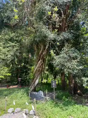 伊佐須美神社(福島県)