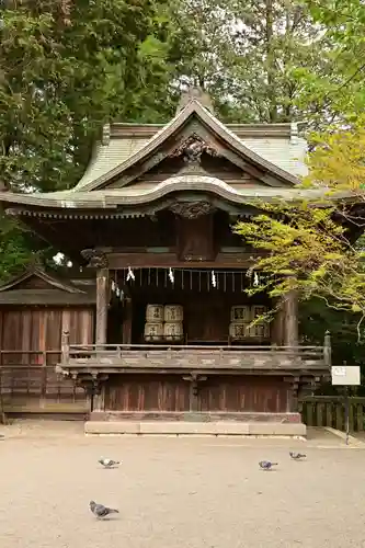 宇都宮二荒山神社(栃木県)