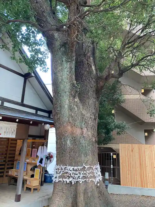 上目黒氷川神社の自然