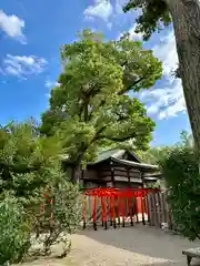 堀越神社(大阪府)