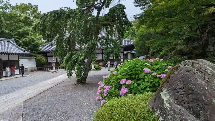 知恩院のその他建物