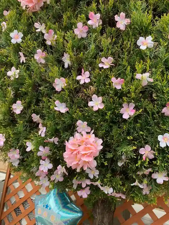 諏訪神社の自然