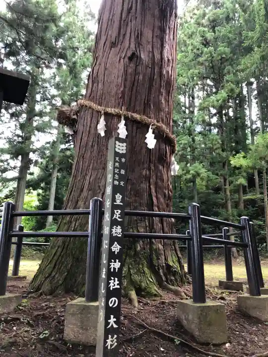 飯縄神社 里宮(皇足穂命神社)の自然