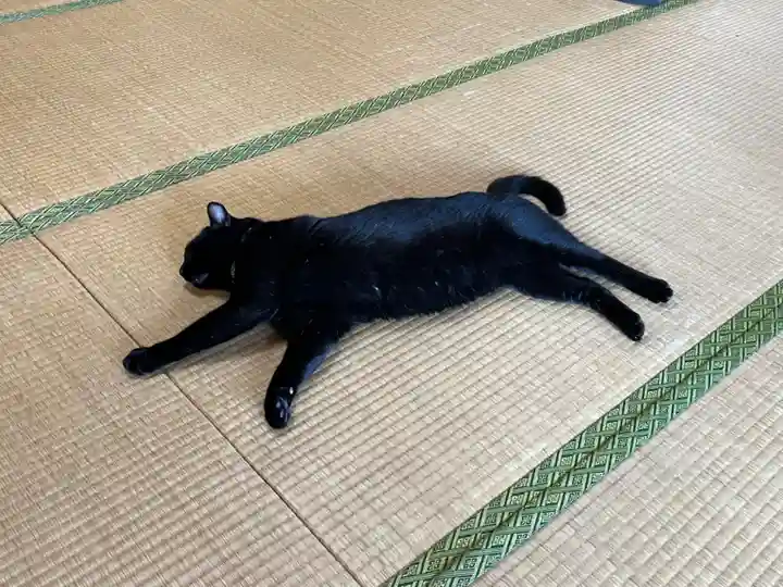高司神社〜むすびの神の鎮まる社〜(福島県)