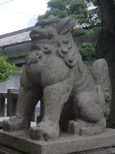 猿江神社の狛犬