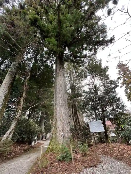 西照神社の自然