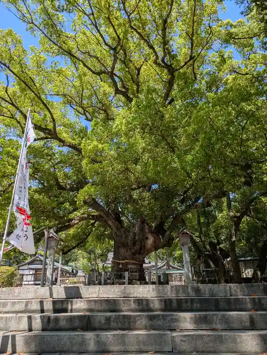 大麻比古神社(徳島県)