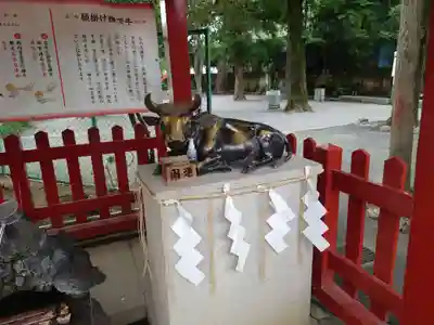 五方山熊野神社の狛犬