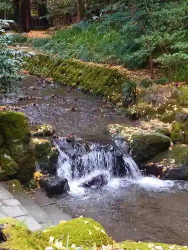 彌彦神社の庭園