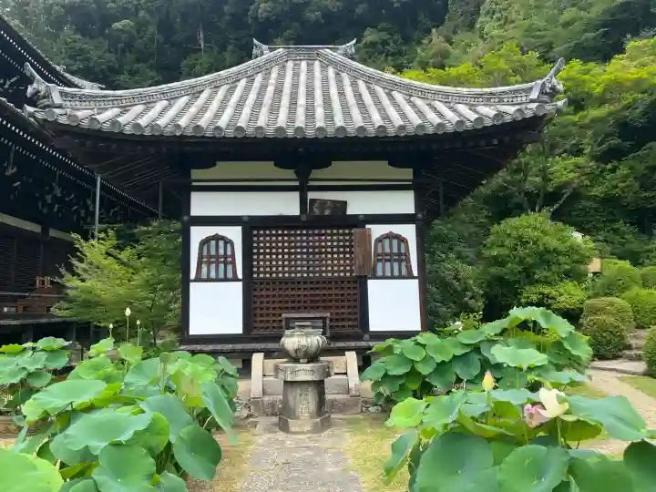 三室戸寺(京都府)
